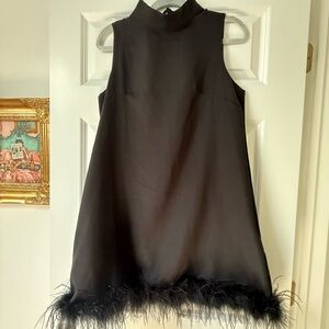 Black Sleeveless Dress with Feather Hem
